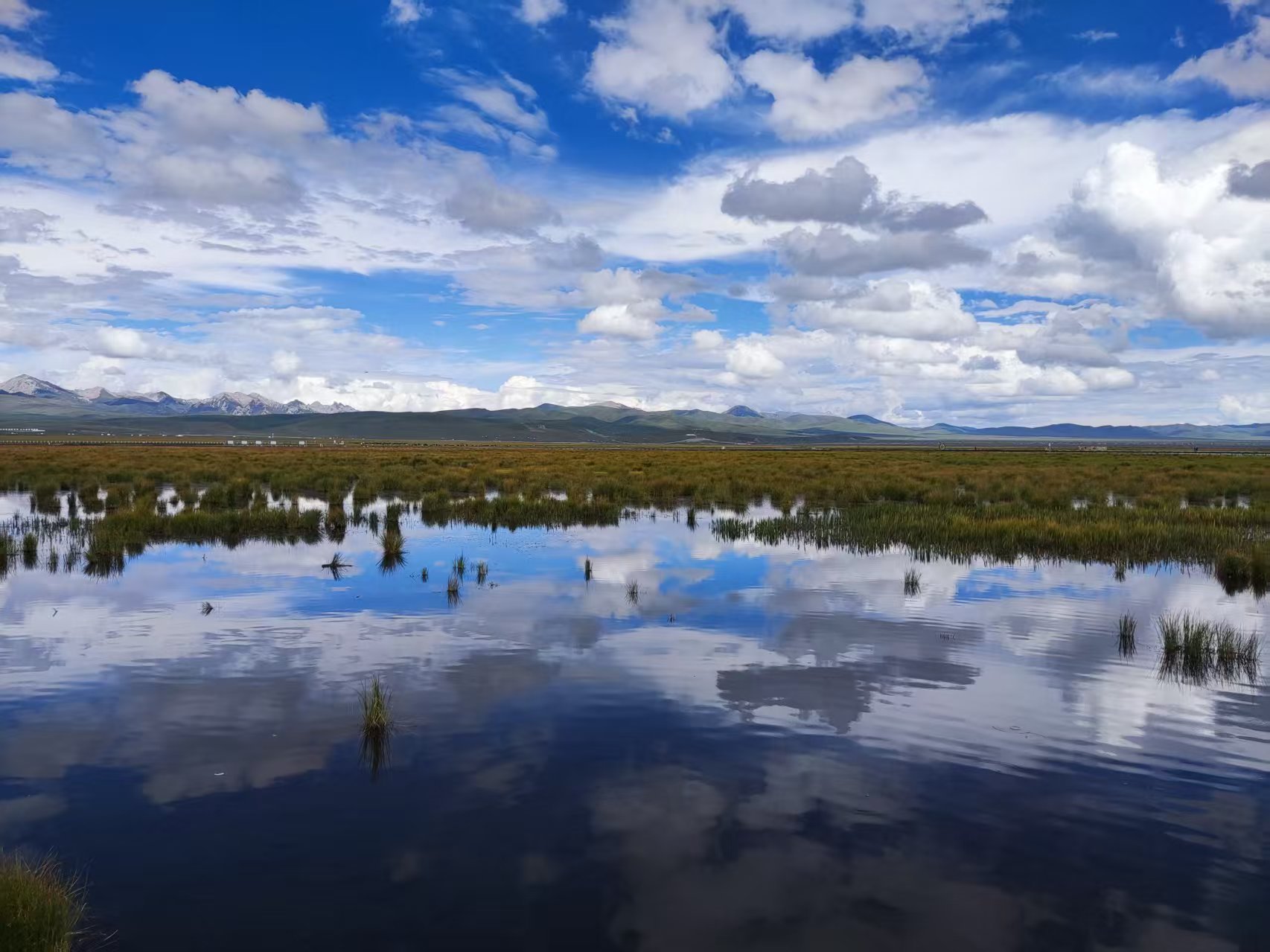 自驾-若尔盖花湖